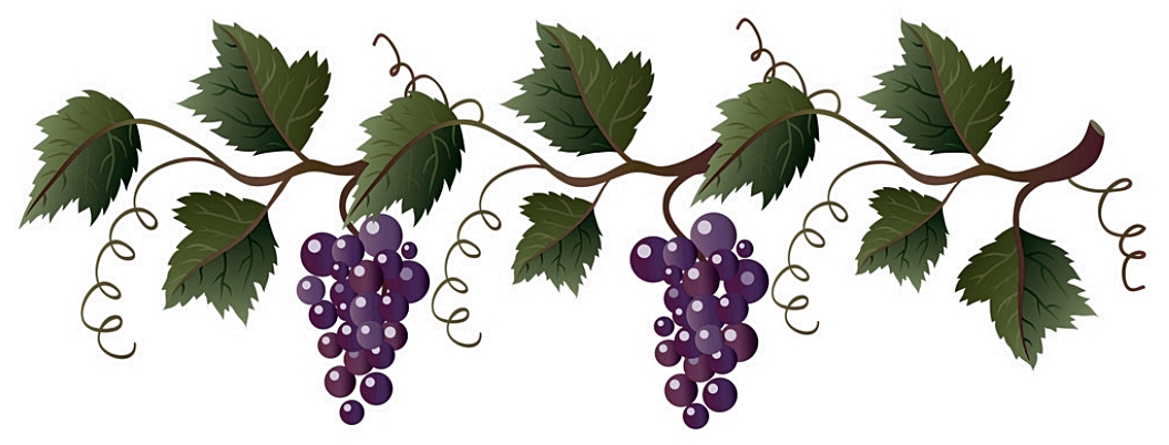 szoloselvalaszto 1 w