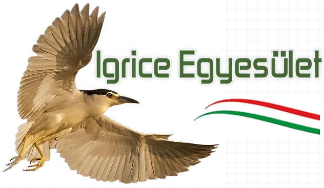 igrice ujlogo